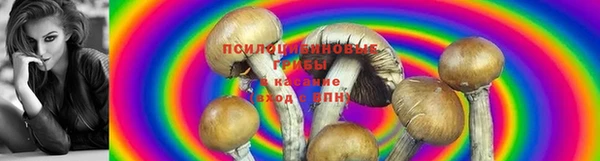 МДПВ Алзамай